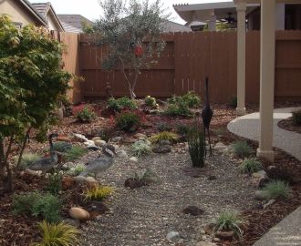 Drought Tolerant Landscape Edit